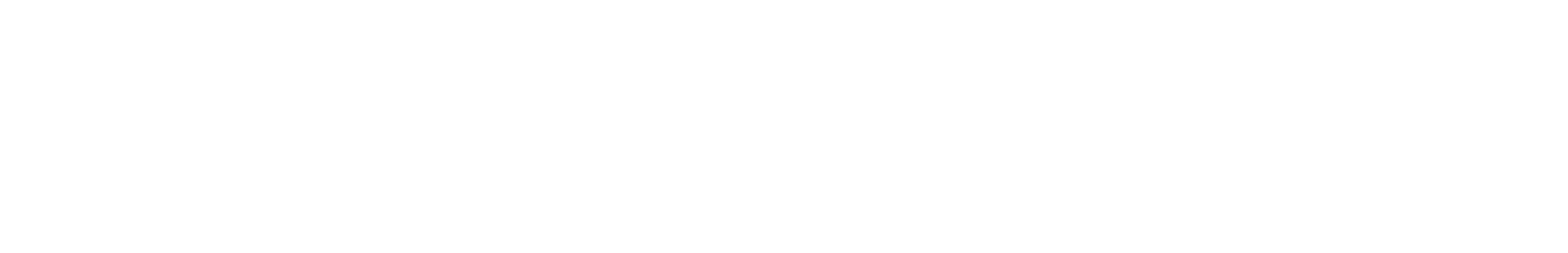 ActivFever